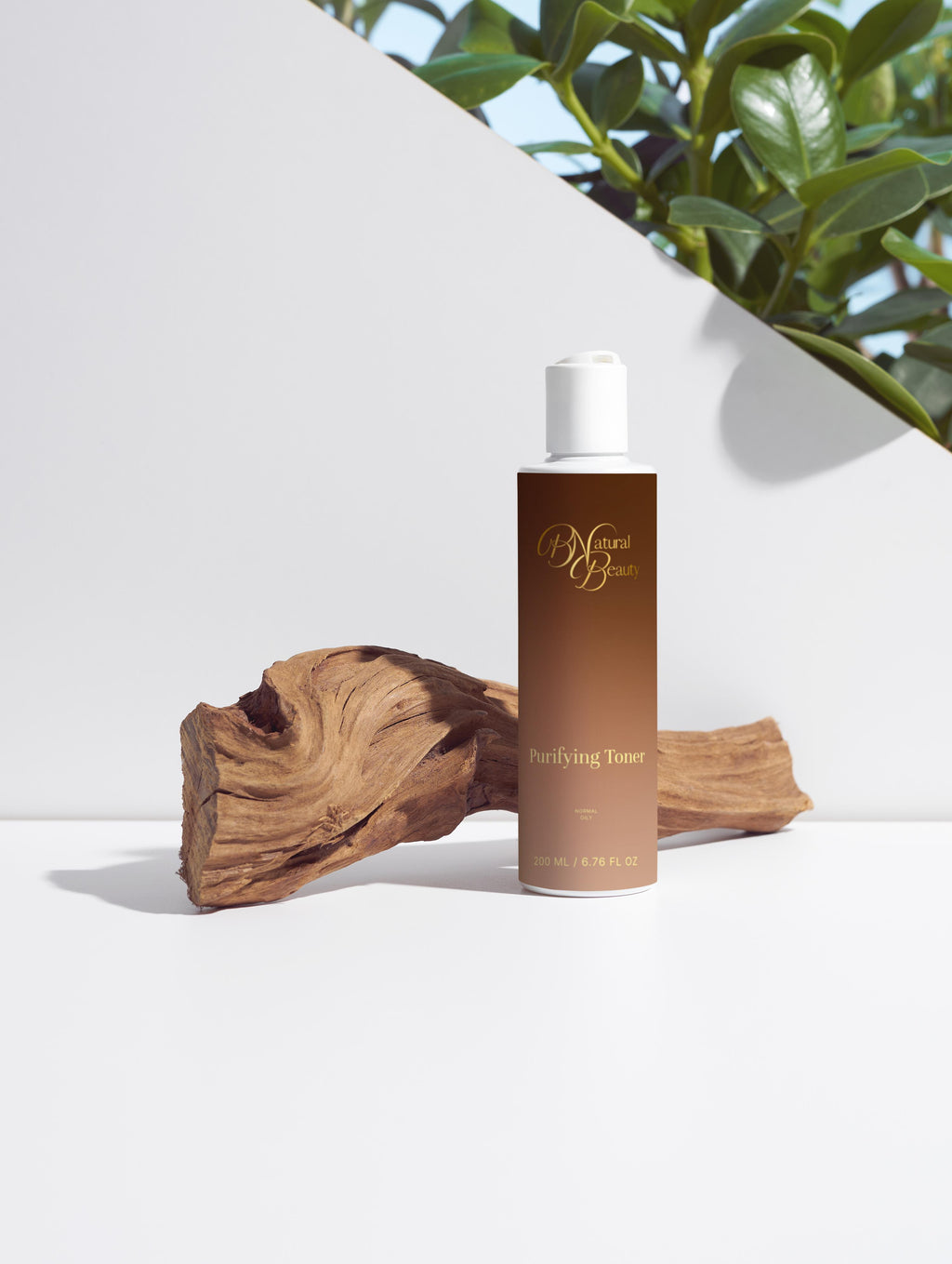 Purifying Toner